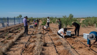 蘭州大學(xué)一案例成功入選教育部高?？萍汲晒D(zhuǎn)化典型案例
