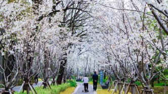 從“生態(tài)屏障”到“生活秀帶”，浦東打造“PARK 21”IP持續(xù)賦能環(huán)上公園建設