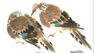 鸣禽画谱之斑鸠