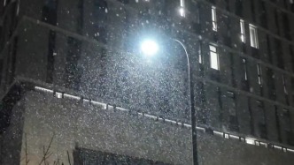 三月的雪，是冬與春的溫柔相擁，是不期而遇的浪漫。