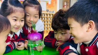 春芽萌動(dòng)?室內(nèi)尋綠 ——常春藤幼兒園植樹(shù)節(jié)主題活動(dòng)