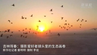 新華社：攝影愛好者鏡頭里的琿春生態(tài)畫卷