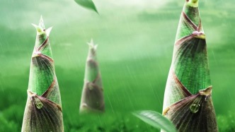 春菜虽鲜美，并非人人宜