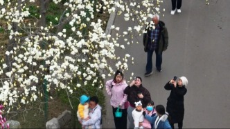 春游花朝！濟(jì)南百花公園開啟春日盛宴！