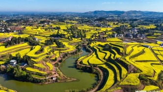 重慶春游天花板，主城1.5h直達(dá)，可惜90%的重慶人都不知道