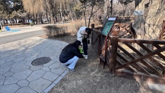 南湖公园的三“绿”行动，轻松拿捏春日美好！