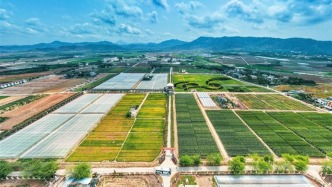 三亞打造“南繁硅谷”底氣從何而來？