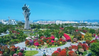 央視《春天里的中國》聚焦三亞：450余種三角梅競放崖州灣