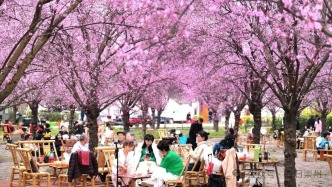 崇州！“不二”之選