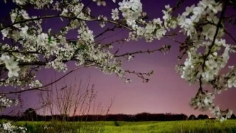 《太平年》里的秘色瓷，源自于‘千峰翠色’的上林湖畔 | 越窯