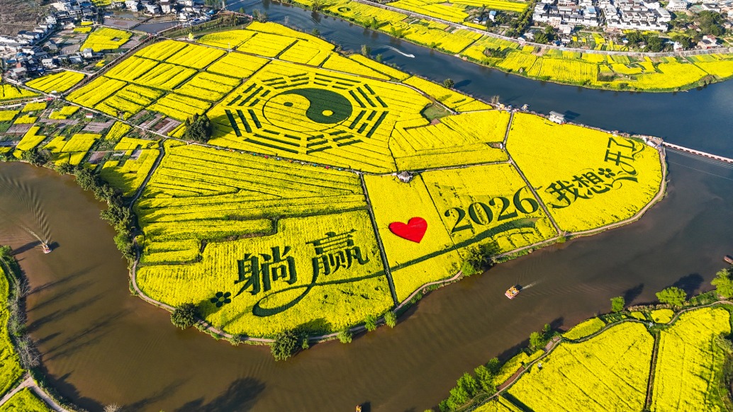 重慶春游天花板：陳摶故里3萬畝油菜花海，遍地流金，美不勝收