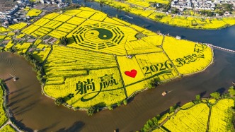 重慶春游天花板：陳摶故里3萬(wàn)畝油菜花海，遍地流金，美不勝收