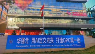 一人公司（OPC）興起的經(jīng)濟學解釋