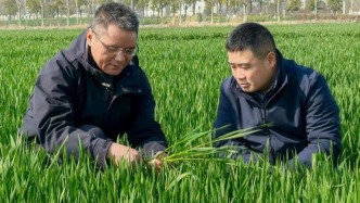 江蘇揚(yáng)州：總書記為何會(huì)記住他的名字