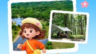 不止冰雪，安圖的春天更“野”！