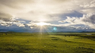 植綠守邊護(hù)山河 墨脫添綠筑屏障