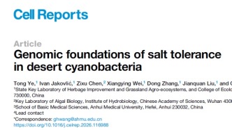 沙漠里的“鹽”值擔(dān)當(dāng)！《Cell Reports》揭開(kāi)荒漠藍(lán)藻的耐鹽秘密