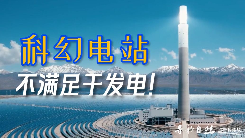 青海大地上的27,135面“鏡子”,藏著一個窺探宇宙的瘋狂計劃