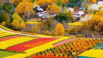 春有約，花不誤，愿所有的美好都如約而至