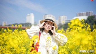 潼南的春天有多美？不出城區(qū)就能看到大片油菜花海，太讓人羨慕了