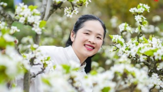 重慶近郊踏賞花天花板，萬畝梨花漫山開，潔白如雪，免費開放