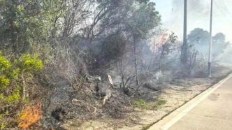 航拍下，超1500平方米農(nóng)田被燒，縱火者正在追查！春季防火請注意