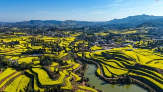 這種景，北京確實沒有！漫山遍野都是金黃的油菜花，你們喜歡嗎？