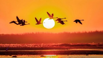 冰雪消融，開(kāi)啟北國(guó)春日序曲！