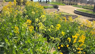 春分時節(jié)，順時飲食，你該吃點兒什么？