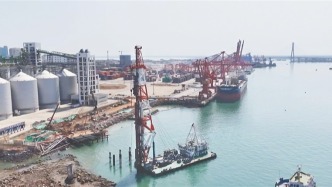 国投洋浦港10万吨级公共粮油码头首桩入海