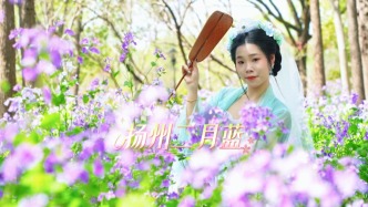 春游揚(yáng)州宋夾城，成片二月蘭綴紫鋪藍(lán)，引得四海游客爭(zhēng)相打卡