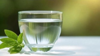 首批南非公立職業(yè)院校赴華進(jìn)修生日前完成學(xué)業(yè)——跨越山海學(xué)技長(zhǎng)