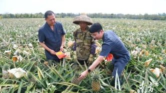 構(gòu)建新安全格局 護(hù)航高質(zhì)量發(fā)展 廣東交出“十四五”平安法治建設(shè)高分答卷