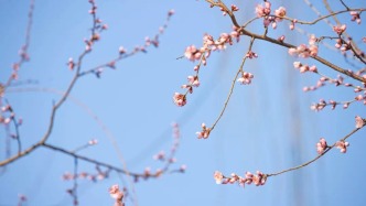 春分恰逢“龍?zhí)ь^”，好運(yùn)正當(dāng)頭！