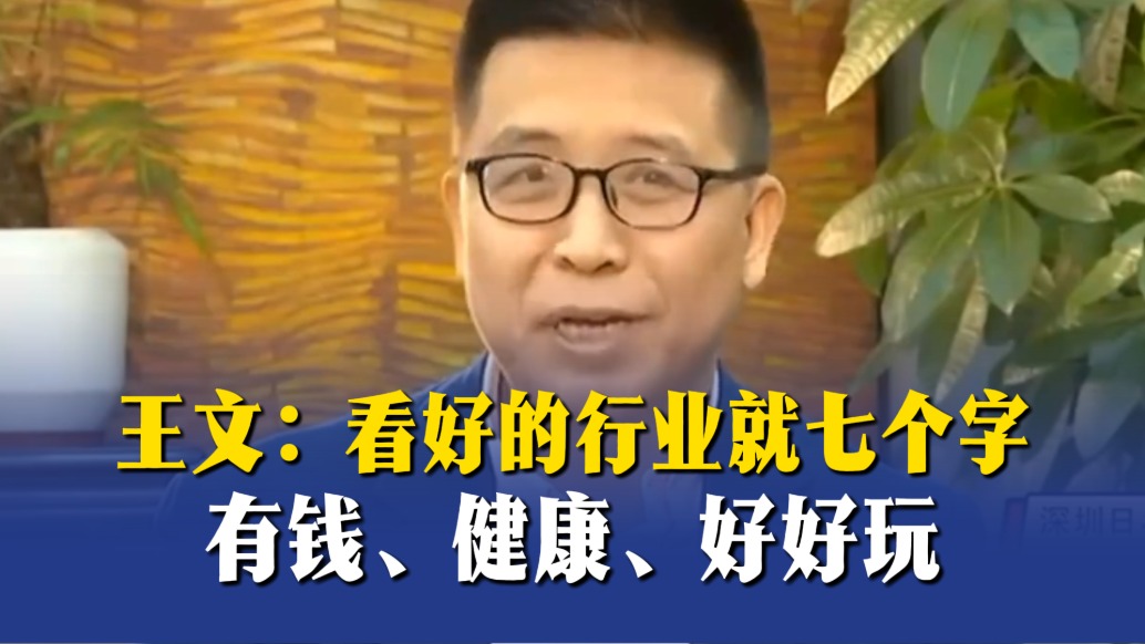 王文:看好的行業(yè)就七個字:有錢、健康、好好玩