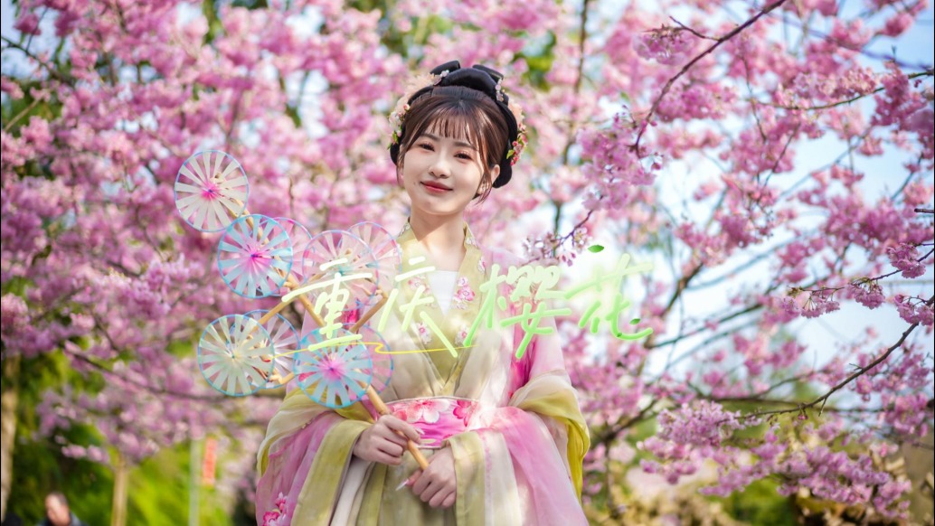 重慶園博園櫻花開啦，引來大量游客打卡，是山城踏春賞櫻的好去處