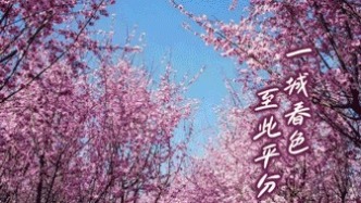 用AI打開節(jié)氣丨春分恰逢“龍?zhí)ь^”，開年好兆頭