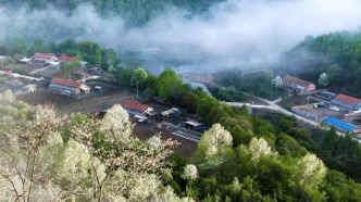 別錯(cuò)過！白山的春天，藏著超多寶藏玩法