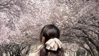 春天的濟(jì)南山師又美啦~周末白天可預(yù)約入園，快來賞！