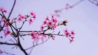 22日起廣東陽光增多氣溫回升