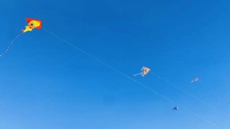  智防“隱形利刃”：智能監(jiān)控警示破解風(fēng)箏線傷人困局