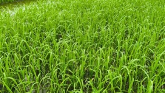 23-26日粵西北多陰雨天氣  