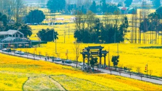 小院里的“大文章” ——崇州市“筑夢小院”新場景機會清單發(fā)布