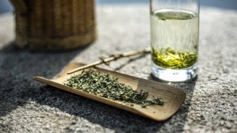 視覺覺醒｜喊山入鏡：一芽一葉一光影