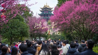 重慶賞花好去處：鴻恩寺梅花開了，古閣映繁花，盡顯巴渝春日詩意