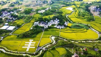 水稻解鎖“長生術(shù)”！告別年年插秧，農(nóng)民省大勁兒了