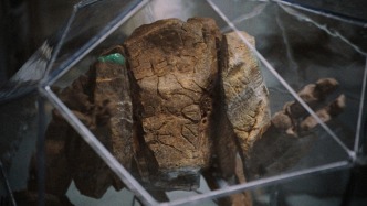 《挽救計劃》：當數(shù)學與愛成為最后的宇宙翻譯官