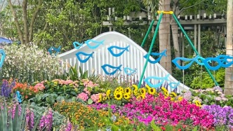 花海漫野，花開向暖