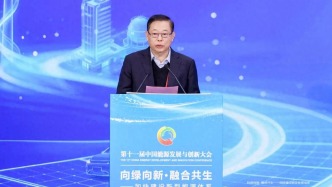 氫促會魏鎖：發(fā)揮氫能深度脫碳潛力，做構(gòu)建現(xiàn)代能源體系主力軍