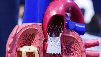 猝死前，心臟其實(shí)說過話 | 科學(xué)世界·人體與健康